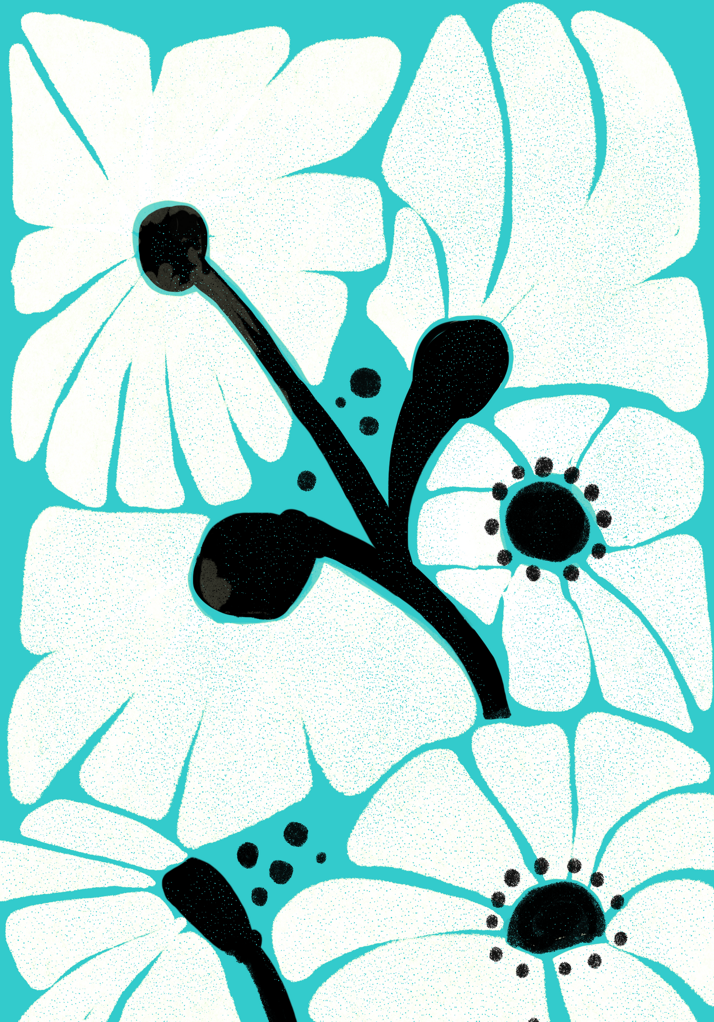 Daisies
