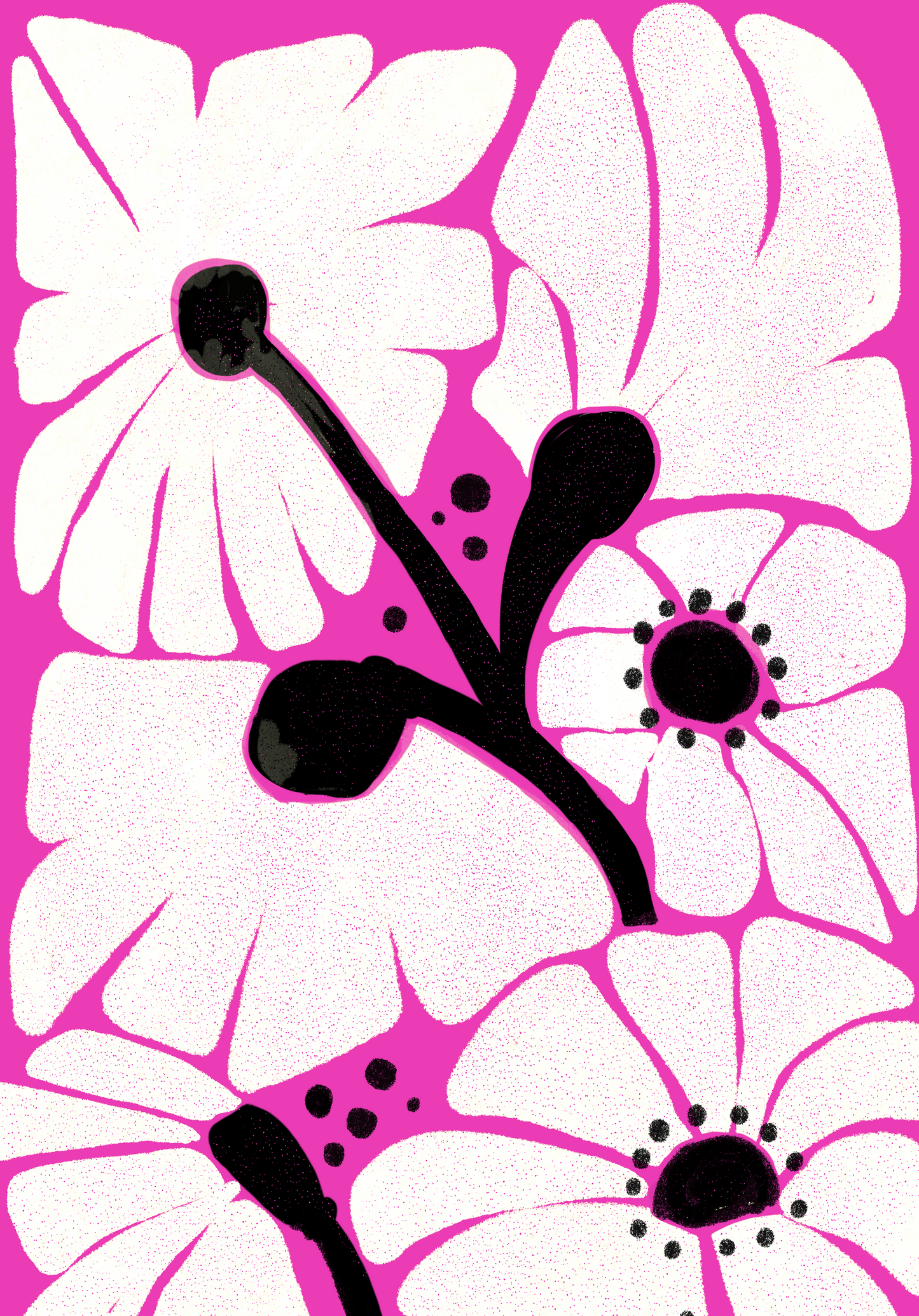 Daisies