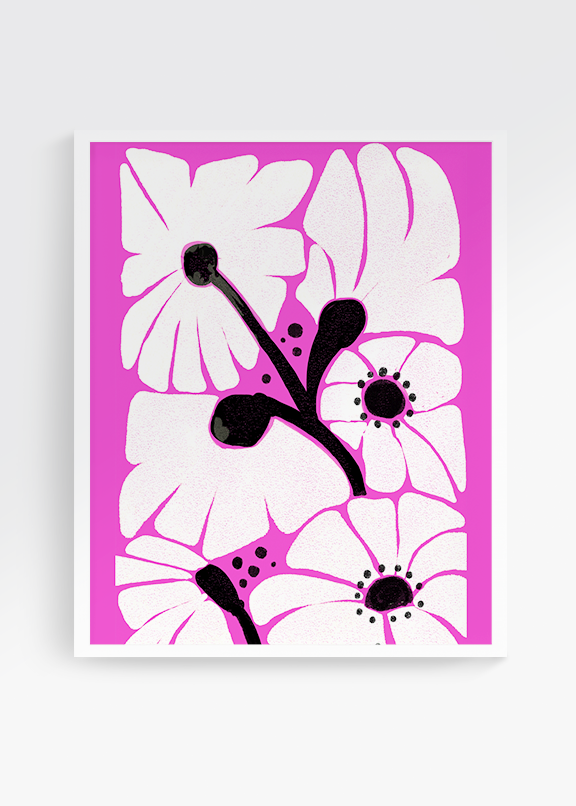 Daisies